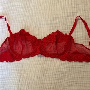 Elegant Moments Red Lace Sheer Underwire Bra